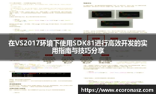 在VS2017环境下使用SDK81进行高效开发的实用指南与技巧分享