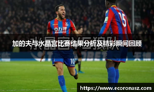 乐竞体育网址