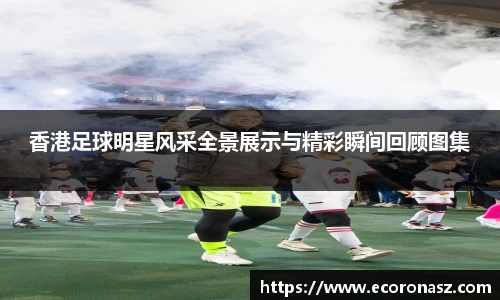 乐竞体育网址